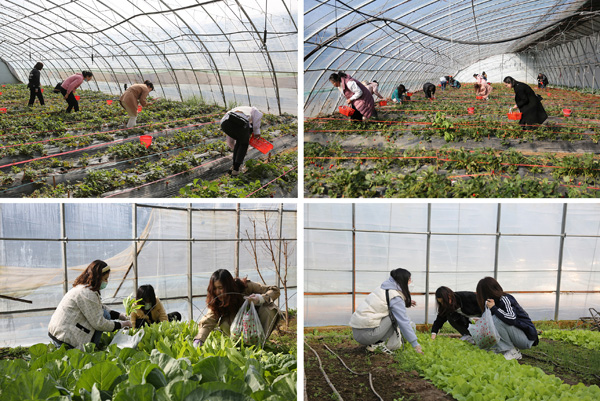 圖片關(guān)鍵詞 圖片關(guān)鍵詞